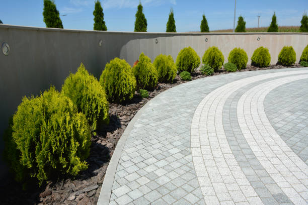 Best Commercial Driveway Pavers  in Waterford, CA